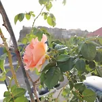 וילה Westerland House ריביירה בראבה