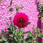 Westerland House וילה *