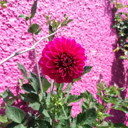 Westerland House Villa *