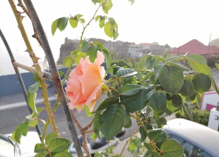 فيلة Westerland House ريبيرا برافا