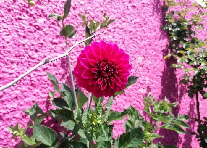 Westerland House فيلة *